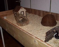 Gehege - Käfige - EB von Anoulie