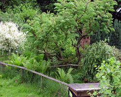 Gehege - Käfige - EB von cavy-forest.de