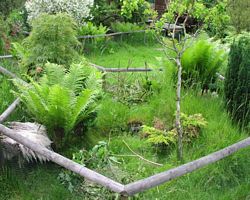 Gehege - Käfige - EB von cavy-forest.de