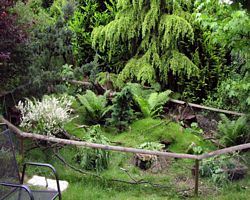 Gehege - Käfige - EB von cavy-forest.de