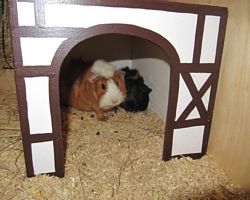 Gehege - Käfige - EB von Jenny