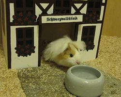 Gehege - Käfige - EB von Jenny