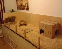 Gehege - Käfige - EB von Jenny