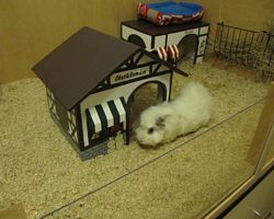 Gehege - Käfige - EB von Jenny