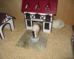 Gehege - Käfige - EB von Jenny