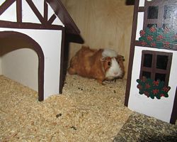 Gehege - Käfige - EB von Jenny