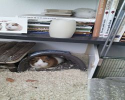 Gehege - Käfige - EB von Manu