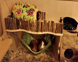 Gehege - Käfige - EB von Miriam