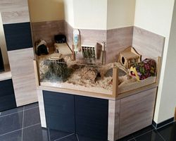 Gehege - Käfige - EB 2 von Miriam