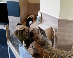 Gehege - Käfige - EB 2 von Miriam