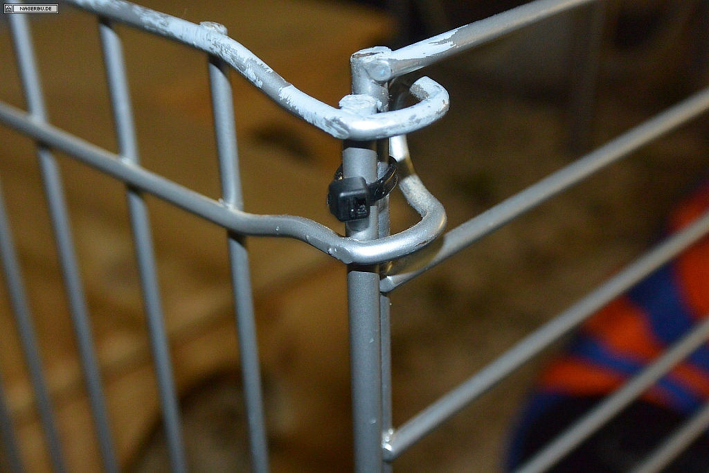 More4Pets Colosseum auf Meerschweinchentauglichkeit umbauen