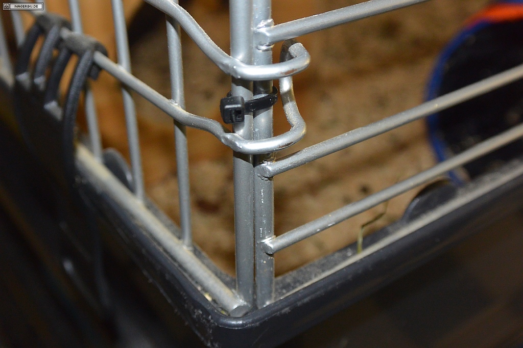 More4Pets Colosseum auf Meerschweinchentauglichkeit umbauen