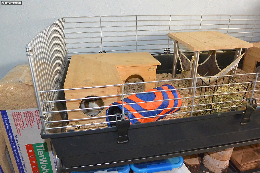 More4Pets Colosseum auf Meerschweinchentauglichkeit umbauen