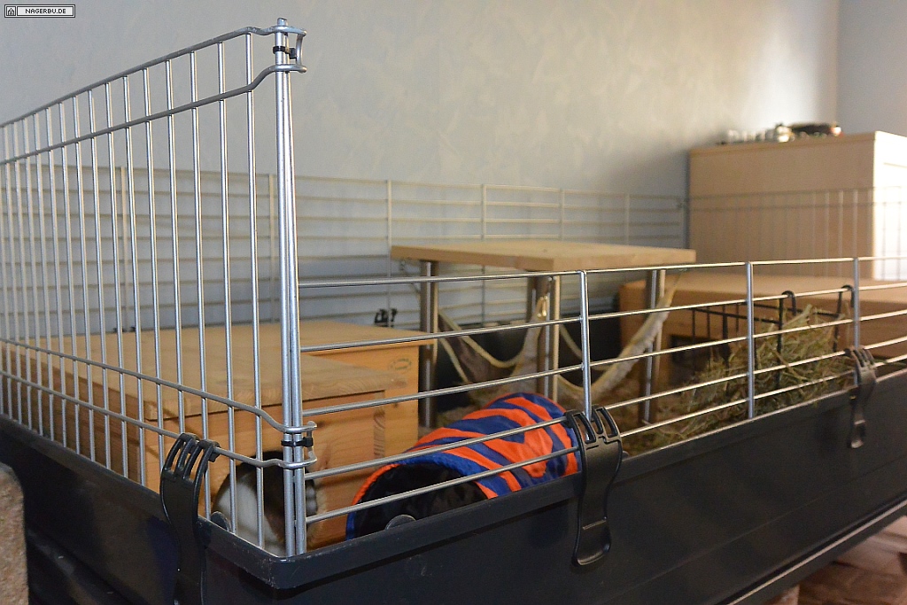 More4Pets Colosseum auf Meerschweinchentauglichkeit umbauen