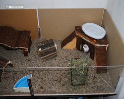 Gehege - Käfige - nagerbude