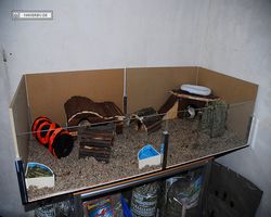 Gehege - Käfige - nagerbude