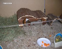 Gehege - Käfige - nagerbude