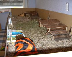 Gehege - Käfige - nagerbude