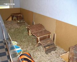 Gehege - Käfige - nagerbude