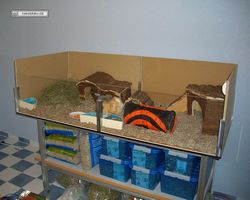 Gehege - Käfige - nagerbude