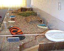 Gehege - Käfige - nagerbude