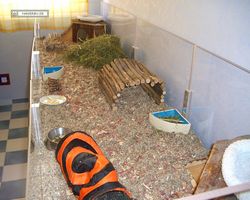 Gehege - Käfige - nagerbude