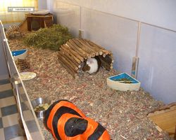 Gehege - Käfige - nagerbude