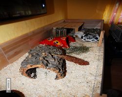 Gehege - Käfige - nagerbude