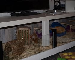 Gehege - Käfige - EB von saeva