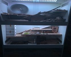 Gehege - Käfige - EB von Verena