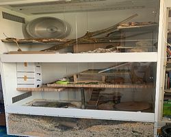 Gehege - Käfige - EB von Verena