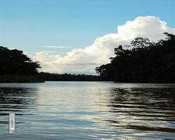Malaysia - Borneo - Kinabatangan River Tour