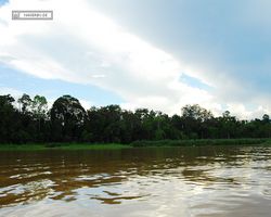 Malaysia - Borneo - Kinabatangan River Tour