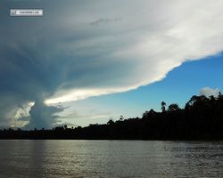 Malaysia - Borneo - Kinabatangan River Tour