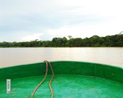Malaysia - Borneo - Kinabatangan River Tour