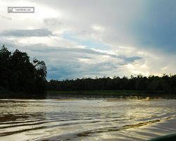Malaysia - Borneo - Kinabatangan River Tour