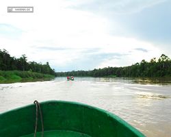 Malaysia - Borneo - Kinabatangan River Tour