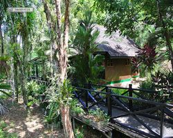 Malaysia - Borneo - Sepilok Nature Resort