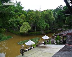 Malaysia - Borneo - Sepilok Nature Resort