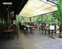 Malaysia - Borneo - Sepilok Nature Resort
