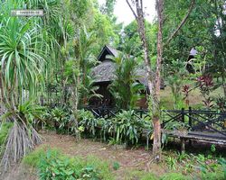 Malaysia - Borneo - Sepilok Nature Resort