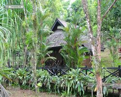 Malaysia - Borneo - Sepilok Nature Resort
