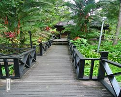 Malaysia - Borneo - Sepilok Nature Resort
