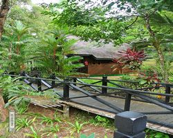 Malaysia - Borneo - Sepilok Nature Resort