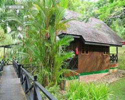Malaysia - Borneo - Sepilok Nature Resort