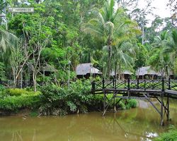 Malaysia - Borneo - Sepilok Nature Resort