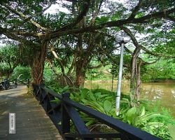 Malaysia - Borneo - Sepilok Nature Resort