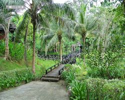 Malaysia - Borneo - Sepilok Nature Resort