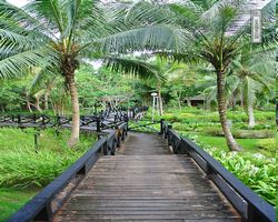 Malaysia - Borneo - Sepilok Nature Resort