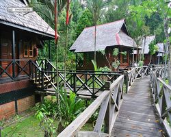 Malaysia - Borneo - Sepilok Nature Resort